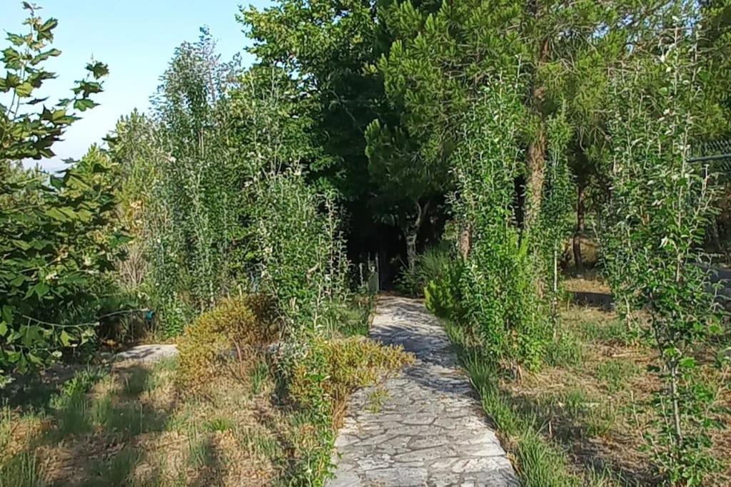 Moradia Na Serra Alcanede Exterior photo